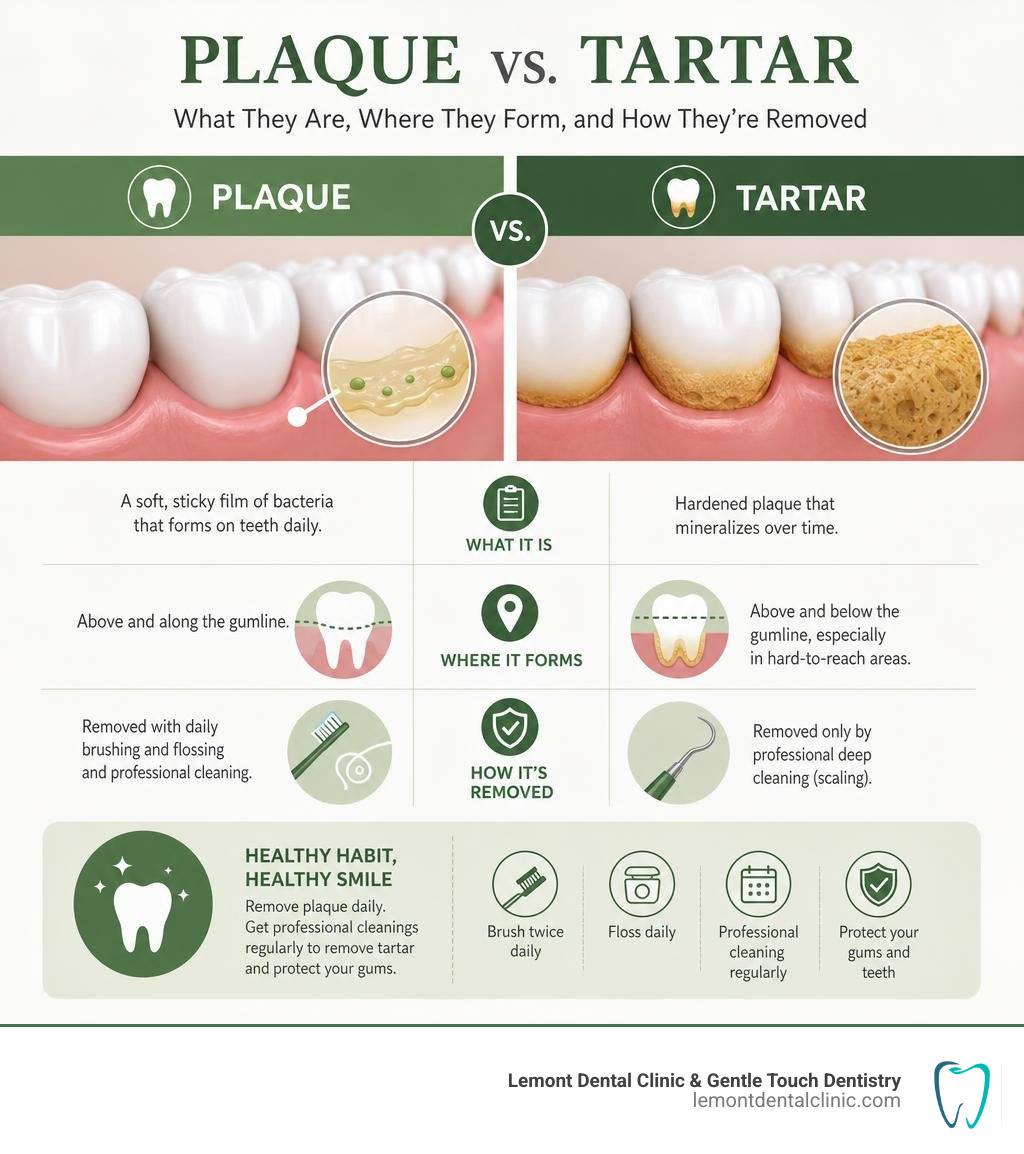Difference between plaque and tartar buildup: what they are, where they form, and how they're removed infographic Difference between plaque and tartar buildup: what they are, where they form, and how they're removed infographic