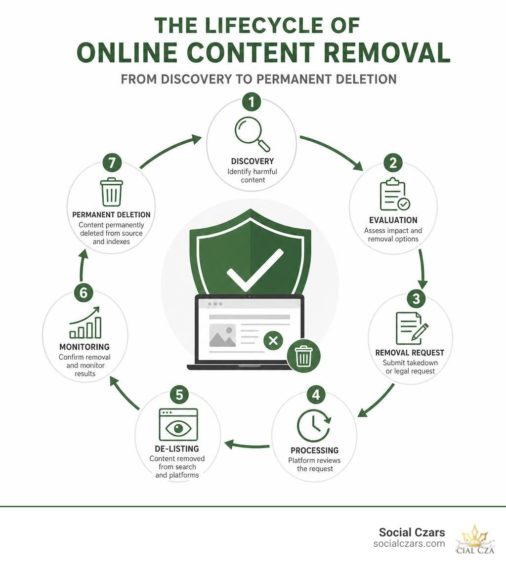 Lifecycle of online content removal from discovery to permanent deletion infographic infographic