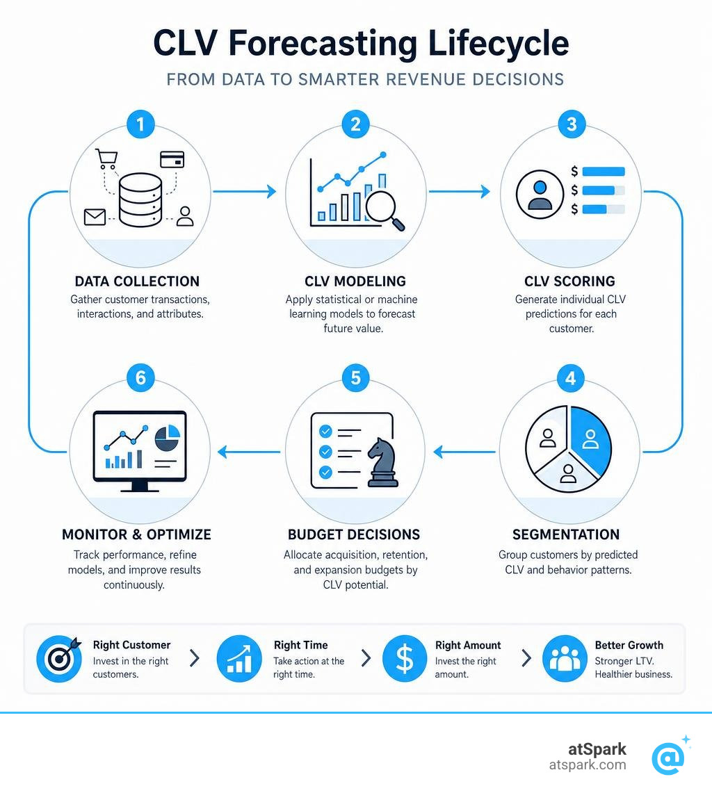 CLV forecasting lifecycle from data collection to segmentation and budget decisions infographic