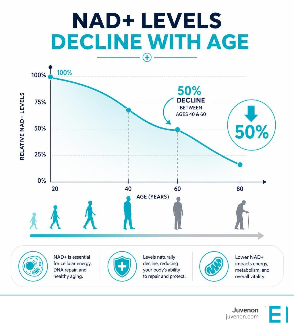 Graph showing the 50 percent decline of NAD+ levels between ages 40 and 60 infographic Graph showing the 50 percent decline of NAD+ levels between ages 40 and 60 infographic