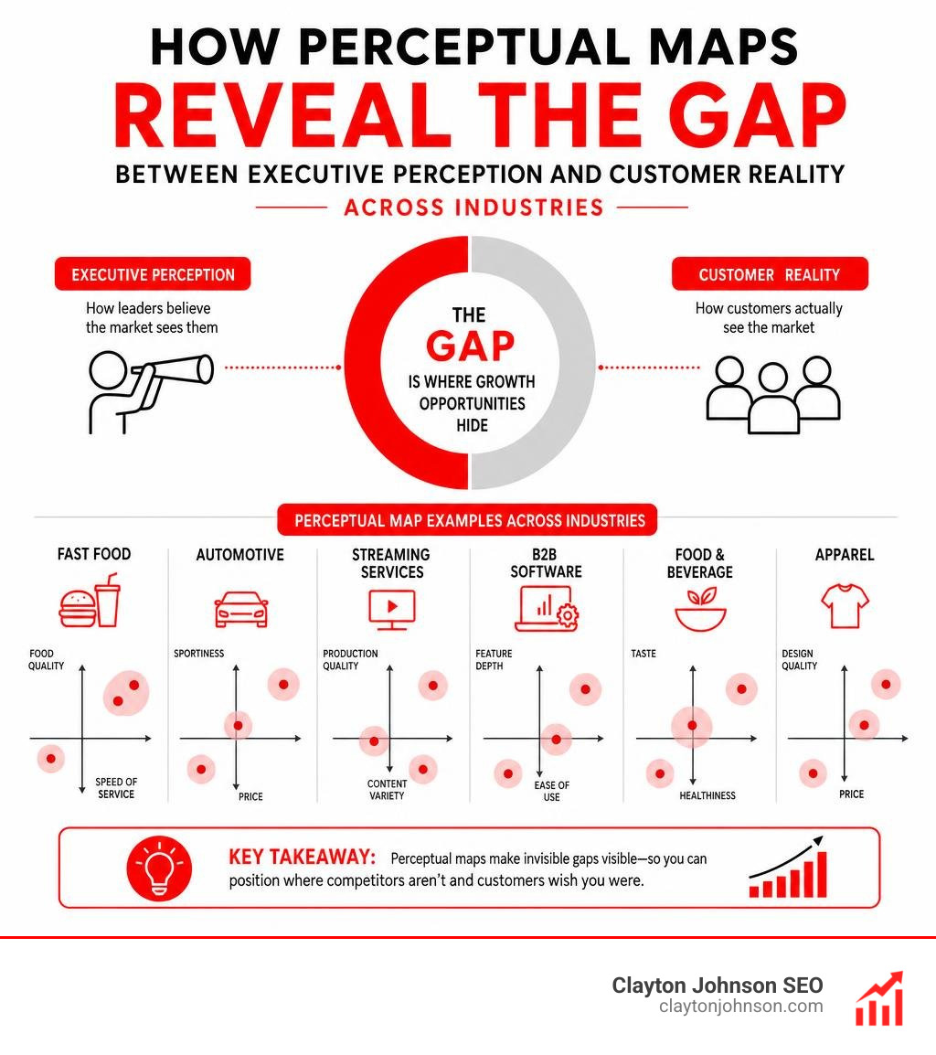 How perceptual maps reveal the gap between executive perception and customer reality across industries infographic