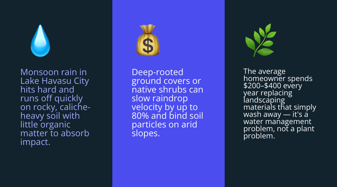 Water erosion cycle on arid sloped desert property showing runoff stages and soil loss infographic Water erosion cycle on arid sloped desert property showing runoff stages and soil loss infographic