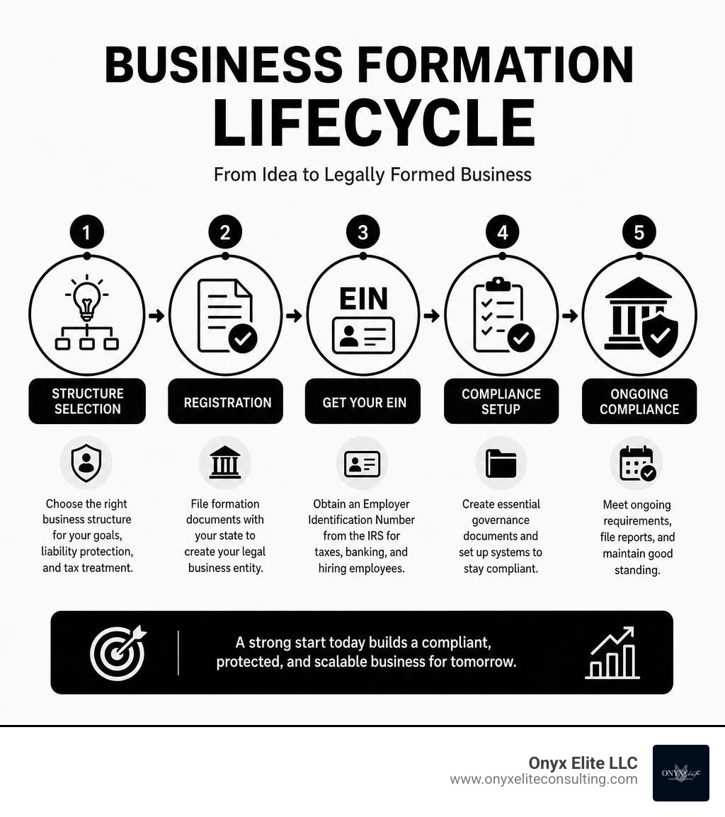 Business formation lifecycle: structure selection, registration, EIN, compliance steps infographic Business formation lifecycle: structure selection, registration, EIN, compliance steps infographic
