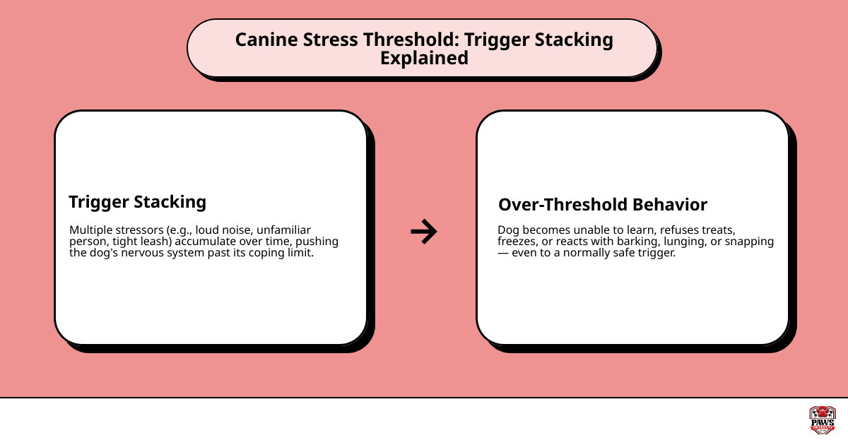 Canine stress threshold infographic showing trigger stacking, sub-threshold vs. over-threshold zones infographic Canine stress threshold infographic showing trigger stacking, sub-threshold vs. over-threshold zones infographic