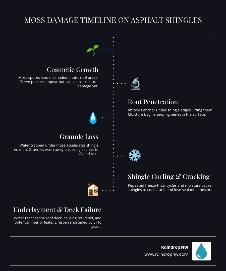 Moss damage timeline on asphalt shingles from cosmetic growth to underlayment failure infographic
