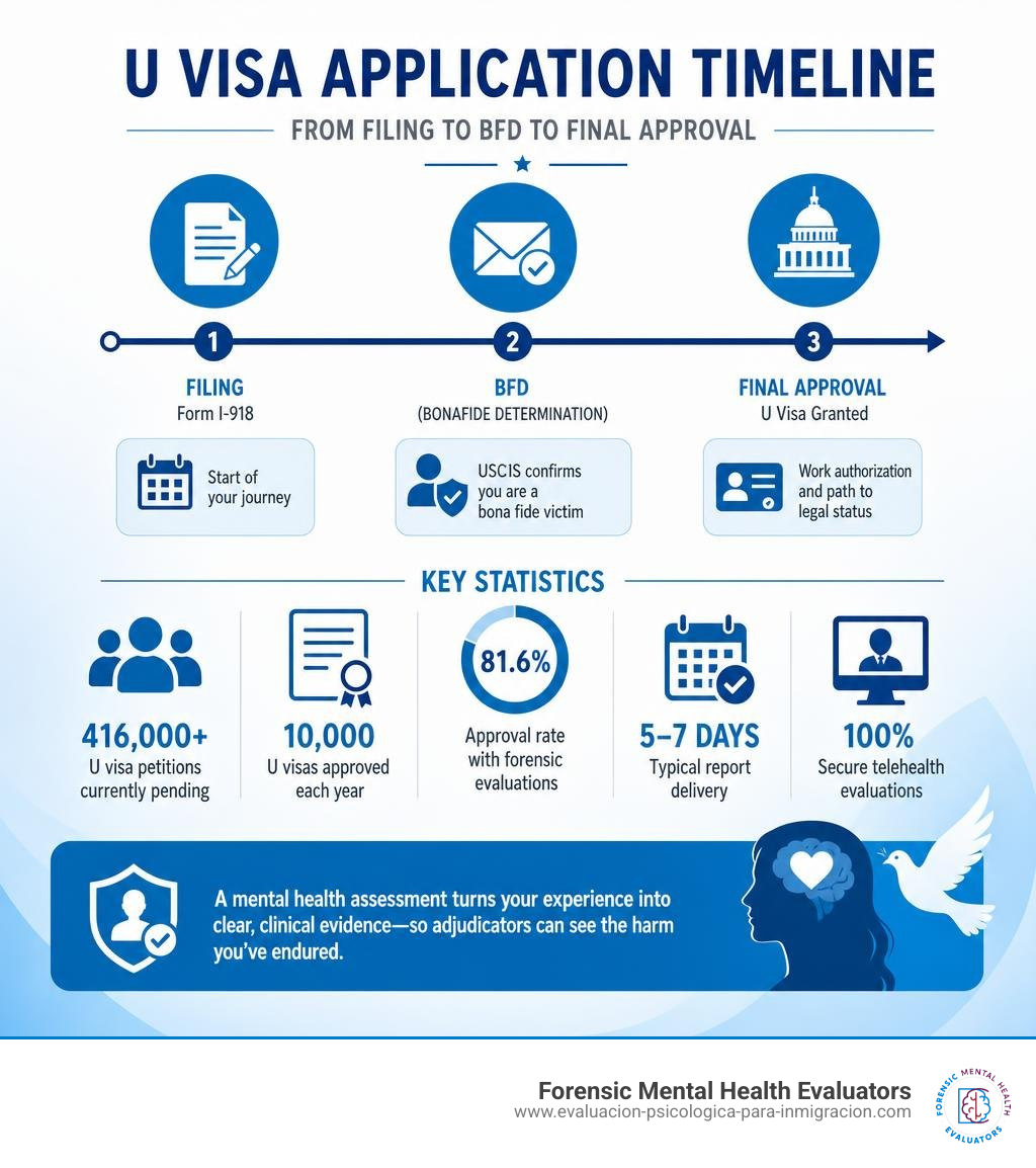 U visa application timeline from filing to BFD to final approval with key statistics infographic U visa application timeline from filing to BFD to final approval with key statistics infographic