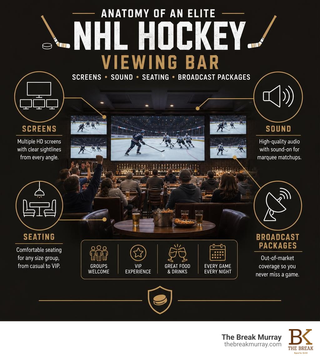Anatomy of an elite NHL hockey viewing bar: screens, sound, seating, and broadcast packages infographic