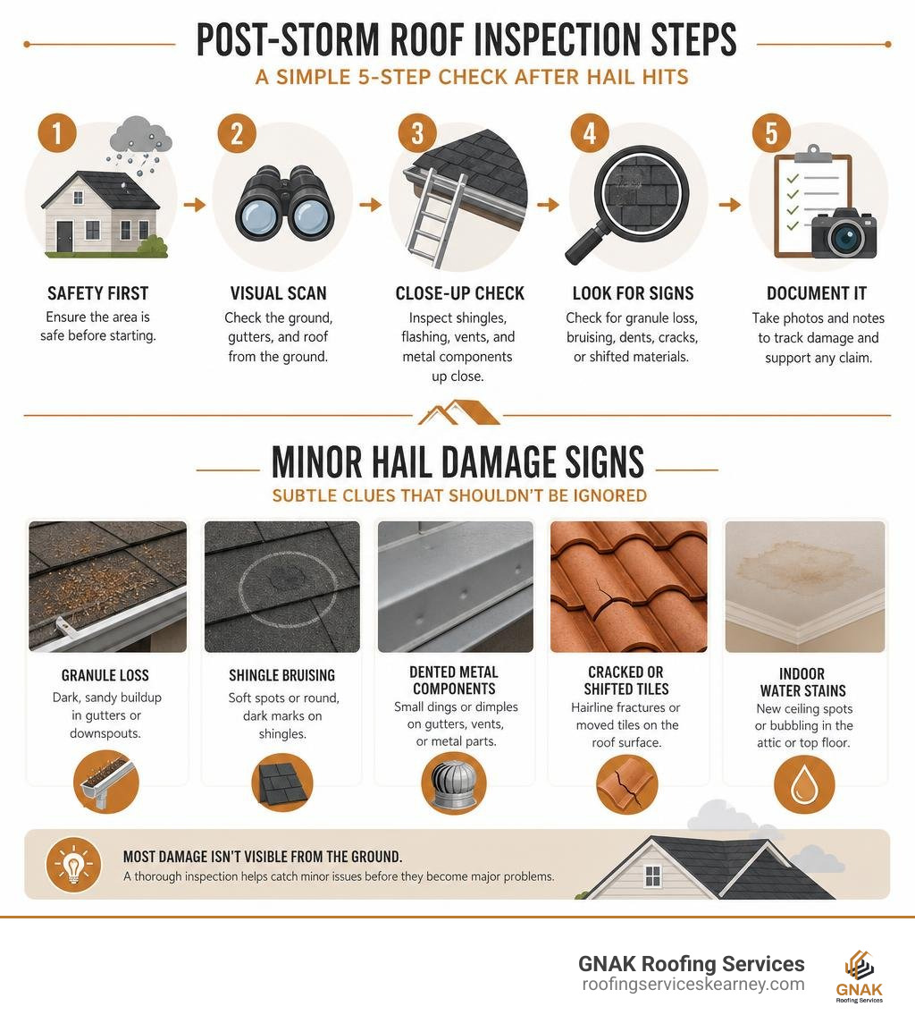 Post-storm roof inspection steps and minor hail damage signs infographic infographic Post-storm roof inspection steps and minor hail damage signs infographic infographic