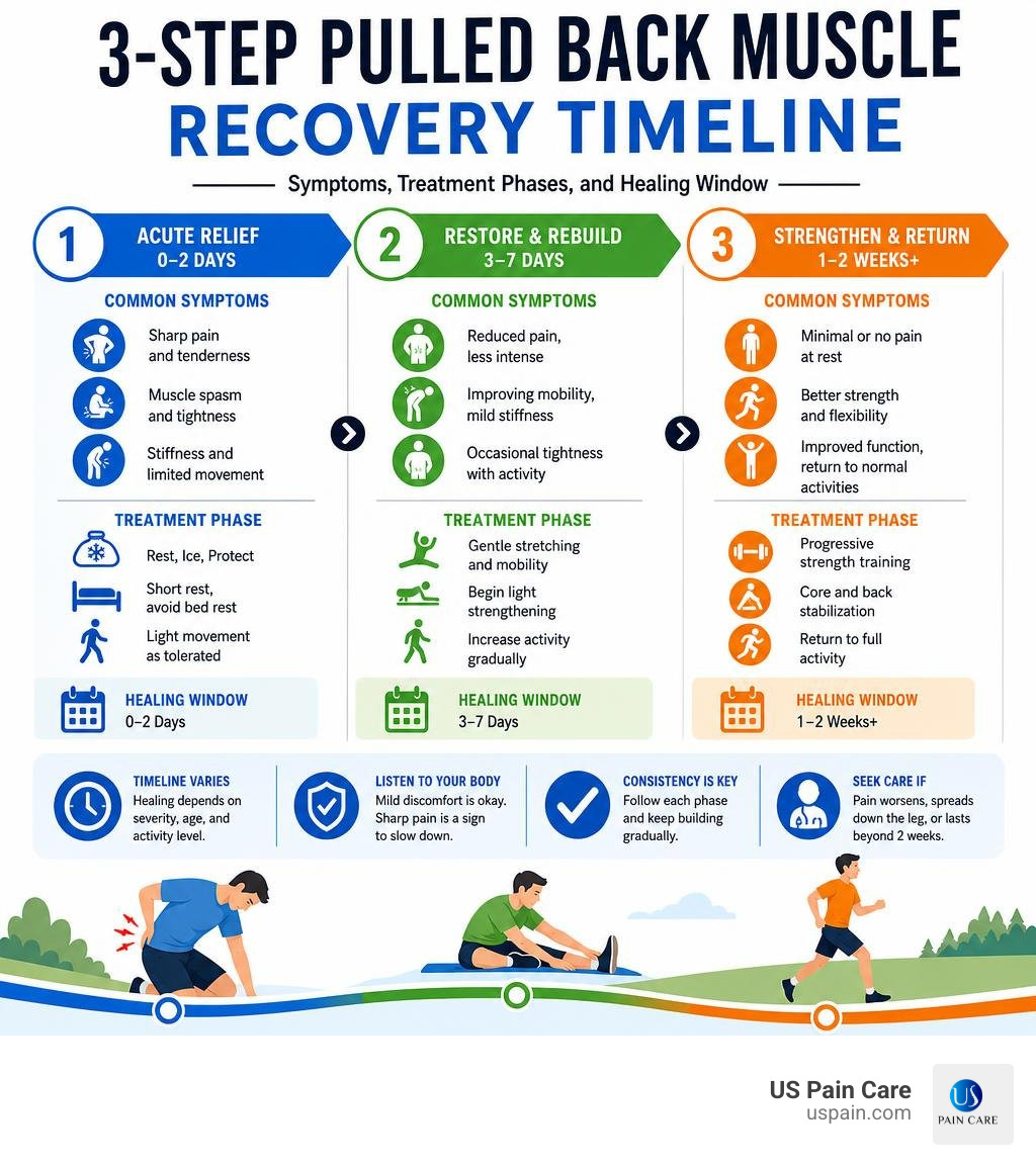 3-step pulled back muscle recovery timeline with symptoms, treatment phases, and healing window infographic