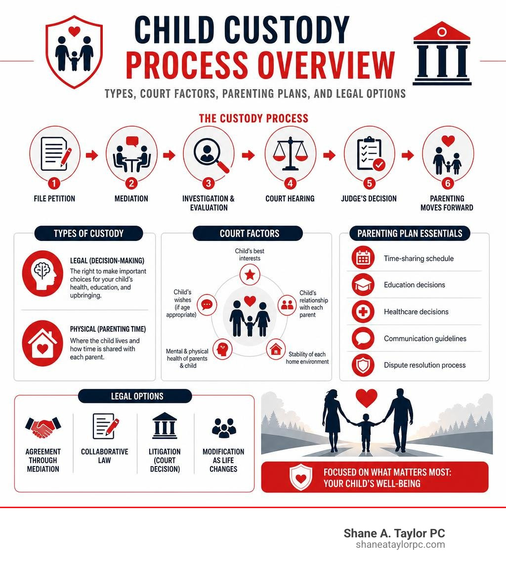 Child custody process overview: types, court factors, parenting plans, and legal options infographic