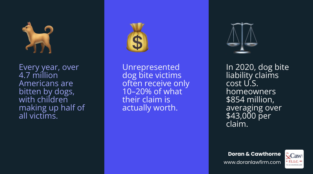 Immediate steps after a dog bite: medical care, evidence collection, reporting, and legal consultation infographic Immediate steps after a dog bite: medical care, evidence collection, reporting, and legal consultation infographic
