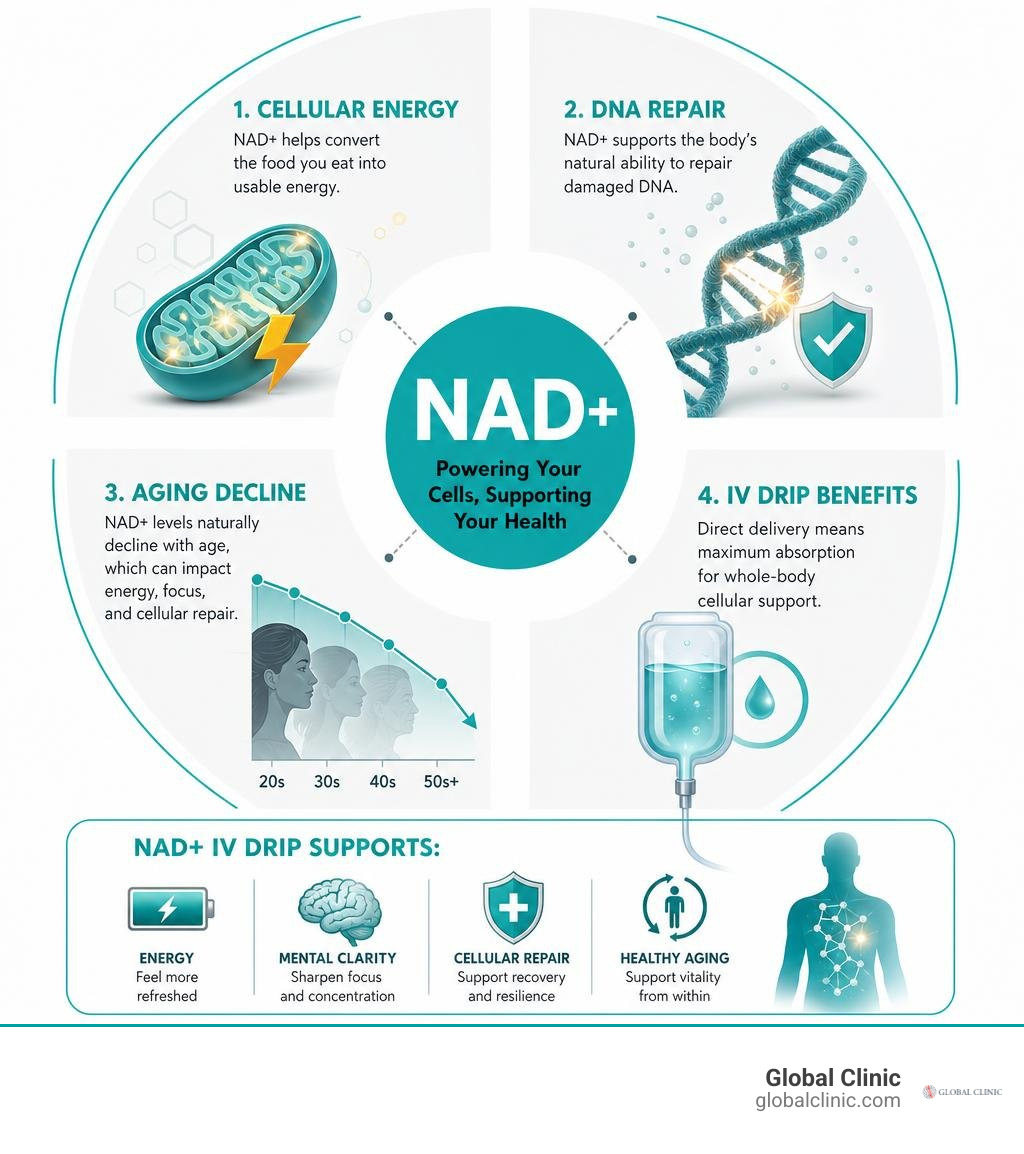 Infographic showing NAD+ role in cellular energy, DNA repair, aging decline, and IV drip benefits infographic Infographic showing NAD+ role in cellular energy, DNA repair, aging decline, and IV drip benefits infographic
