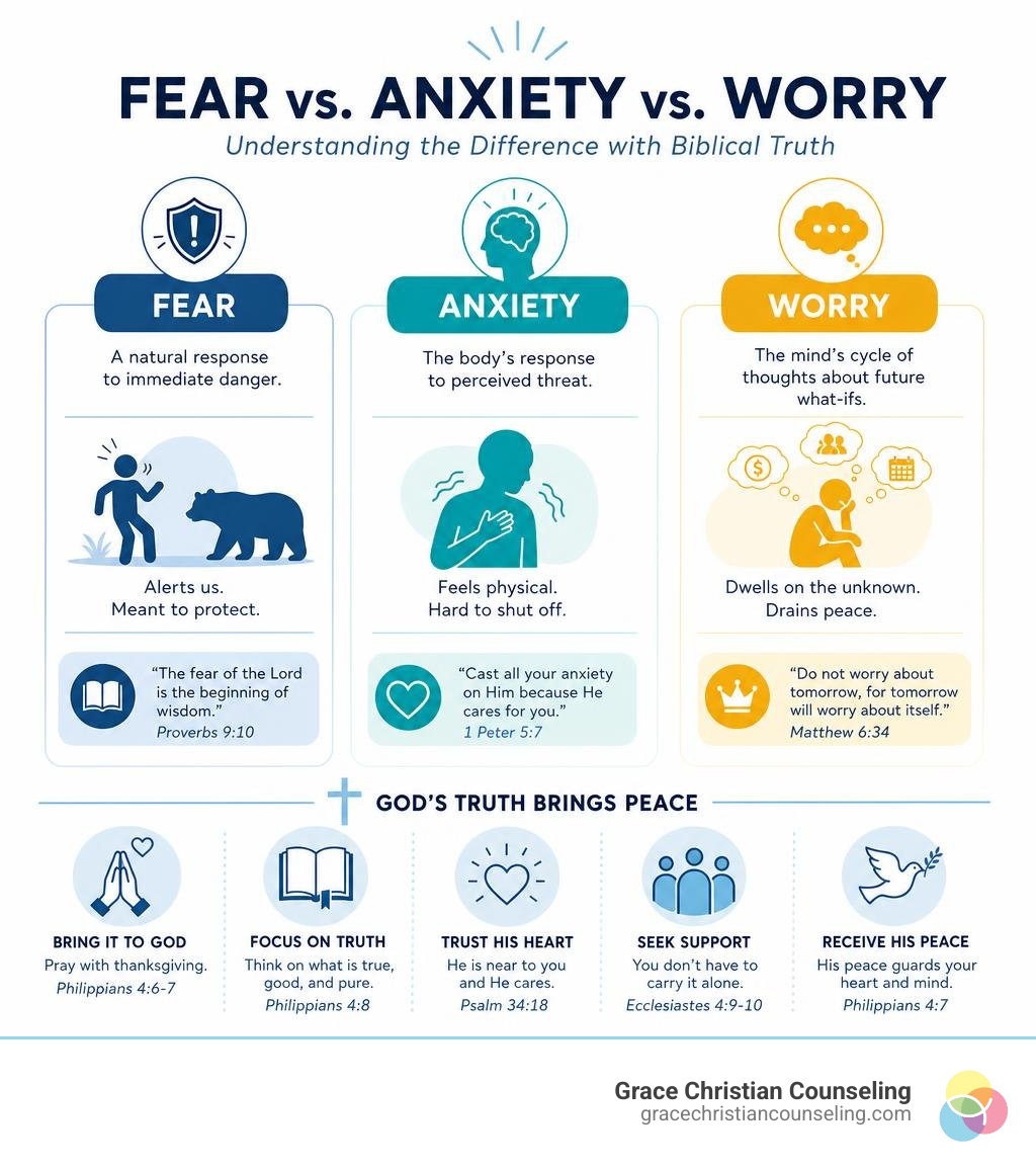 Infographic showing the difference between fear, anxiety, and worry with biblical grounding principles infographic