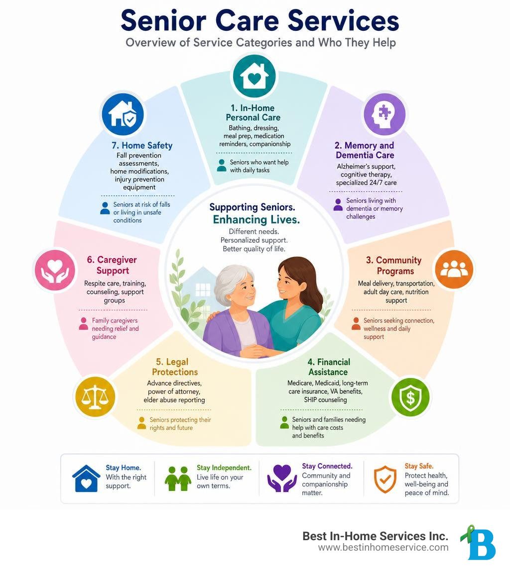 Overview infographic of senior care service categories and who they help infographic