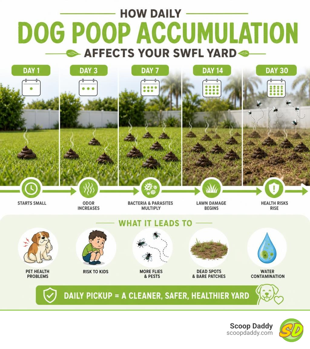 How daily dog poop accumulation affects your SWFL yard infographic