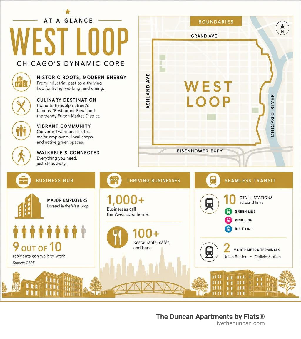 infographic detailing key west loop statistics including businesses and transit links infographic