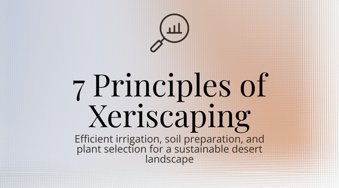 Infographic showing the 7 principles of xeriscaping including efficient irrigation and soil preparation infographic