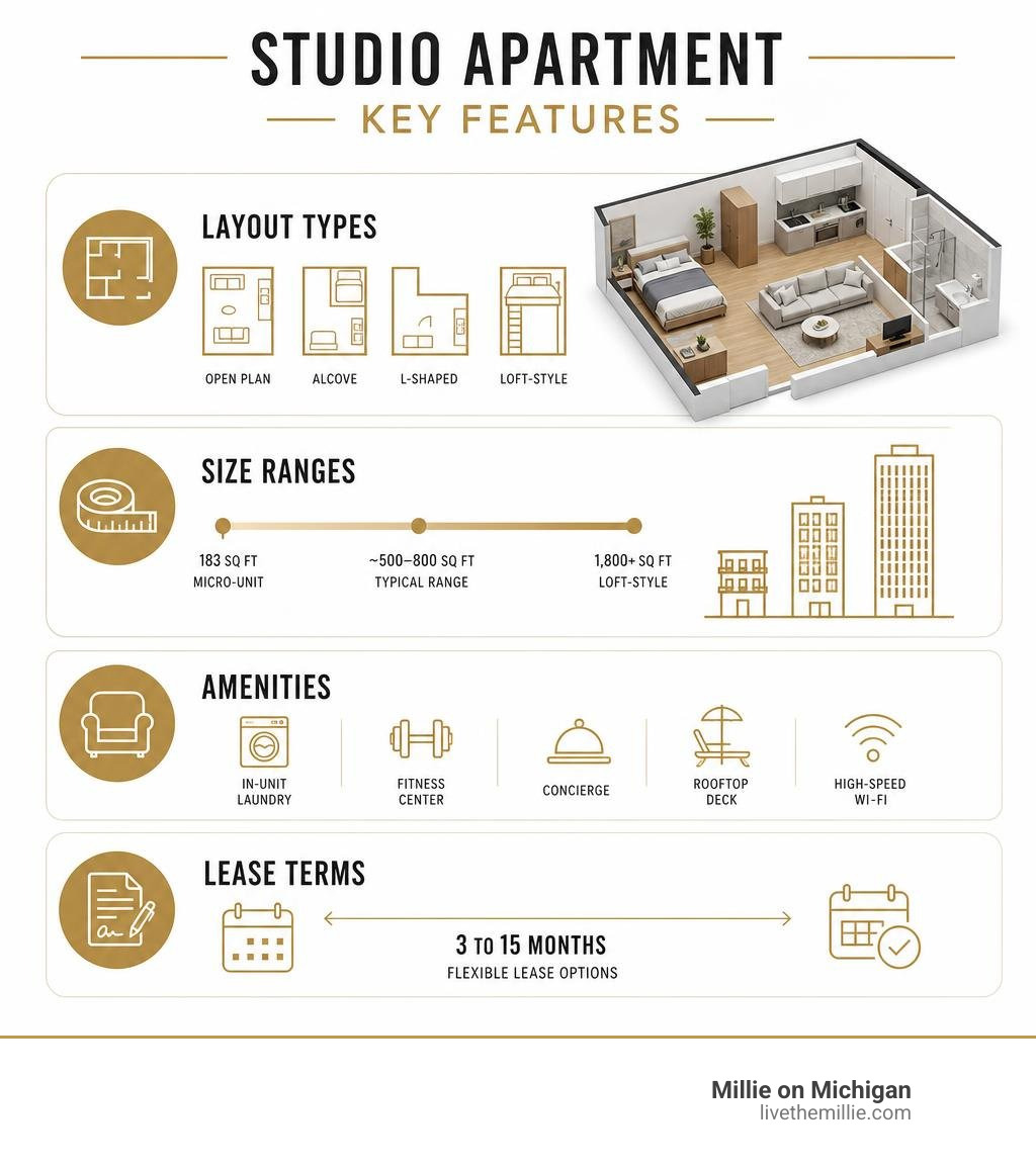 Studio apartment key features infographic: layout types, size ranges, amenities, and lease terms infographic
