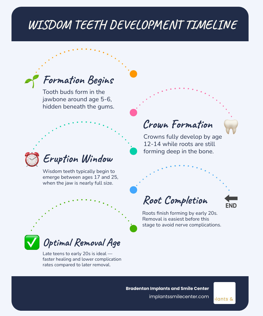 Timeline of wisdom teeth development from formation to eruption, with key age milestones infographic