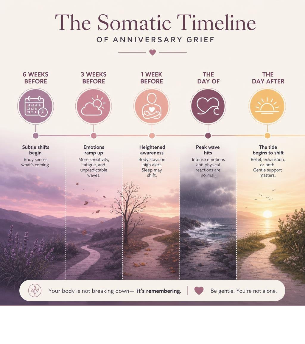 Infographic showing the somatic timeline of anniversary grief from 6 weeks before to the day after infographic Infographic showing the somatic timeline of anniversary grief from 6 weeks before to the day after infographic