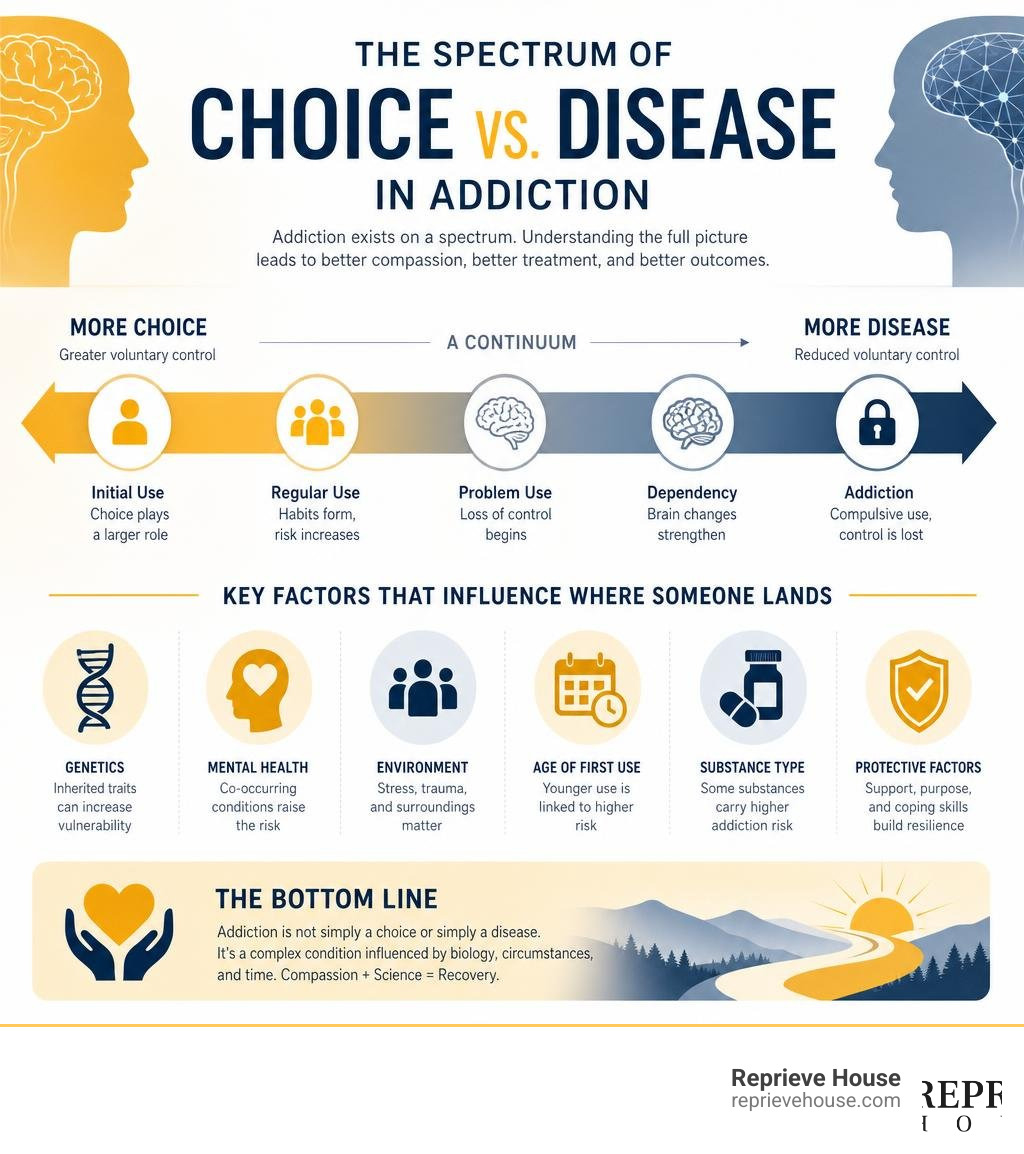 Spectrum of choice vs. disease in addiction - key facts and factors infographic infographic