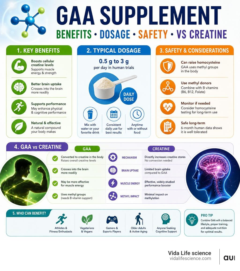 GAA supplement benefits, dosage, safety, and creatine comparison infographic infographic GAA supplement benefits, dosage, safety, and creatine comparison infographic infographic