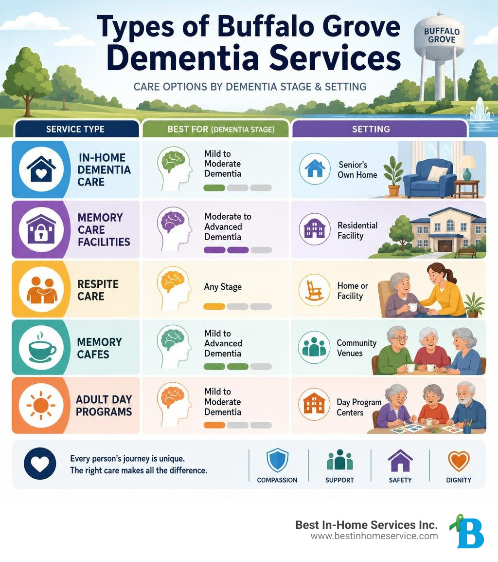 Types of Buffalo Grove dementia services infographic showing care options by dementia stage and setting infographic