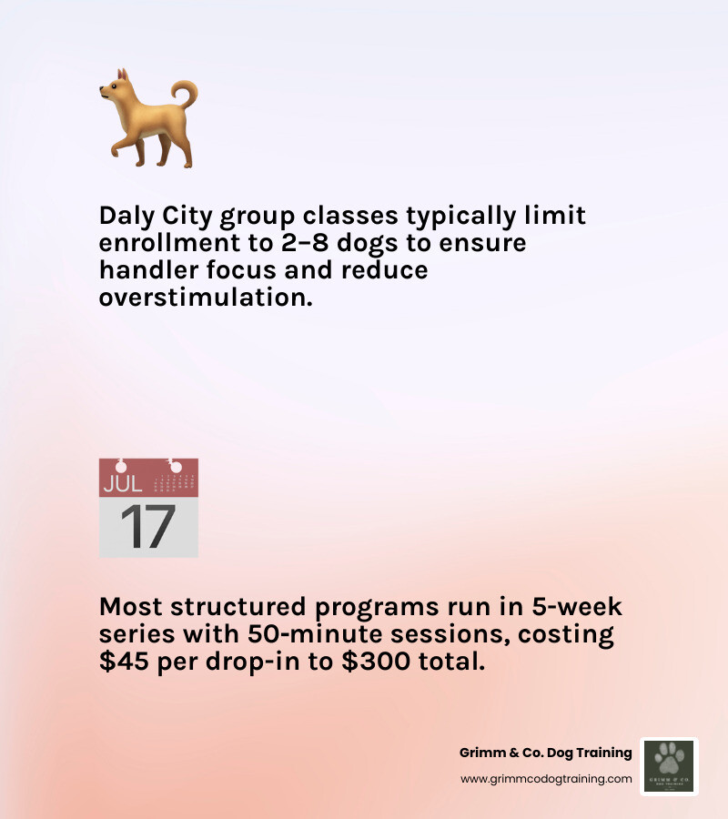 overview of group dog training options in Daly City: class size, cost, duration, vaccine requirements infographic