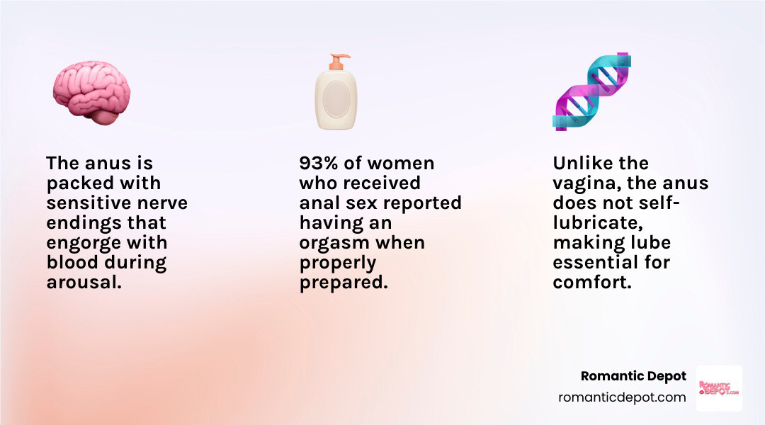 Benefits of anal foreplay: relaxation, nerve stimulation, orgasm rates, lube rules, safety tips infographic