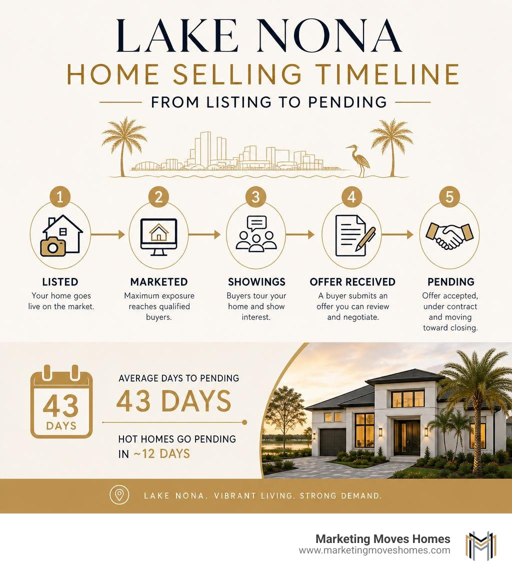 Lake Nona home selling timeline from listing to pending infographic infographic Lake Nona home selling timeline from listing to pending infographic infographic