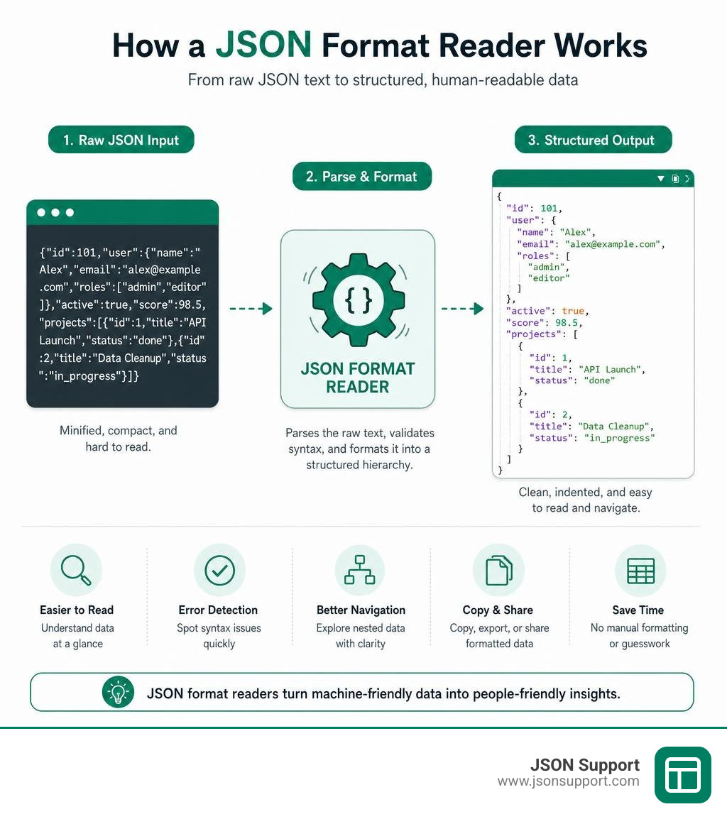 How a JSON format reader parses raw JSON into structured, human-readable output infographic