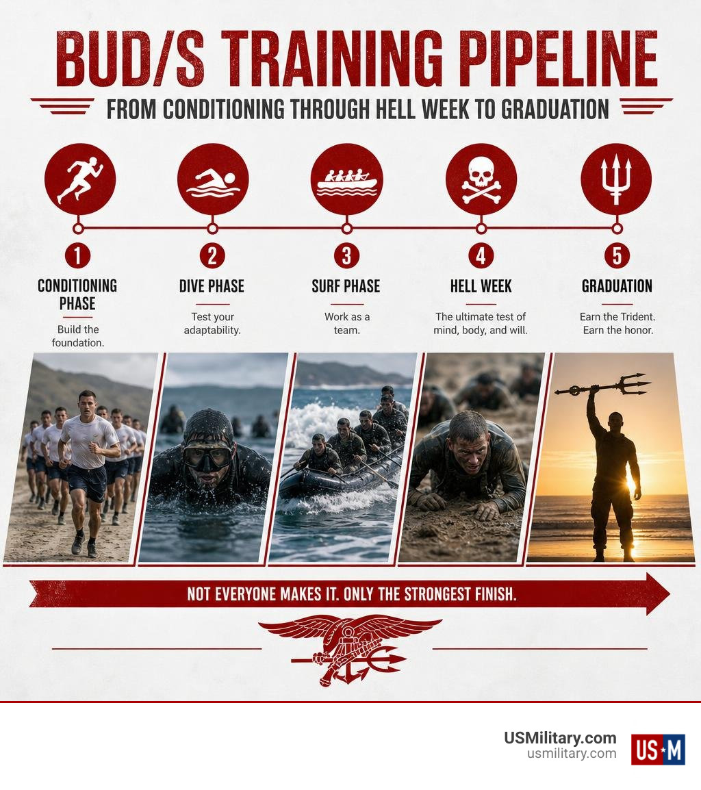 BUD/S training pipeline phases from conditioning through Hell Week to graduation infographic
