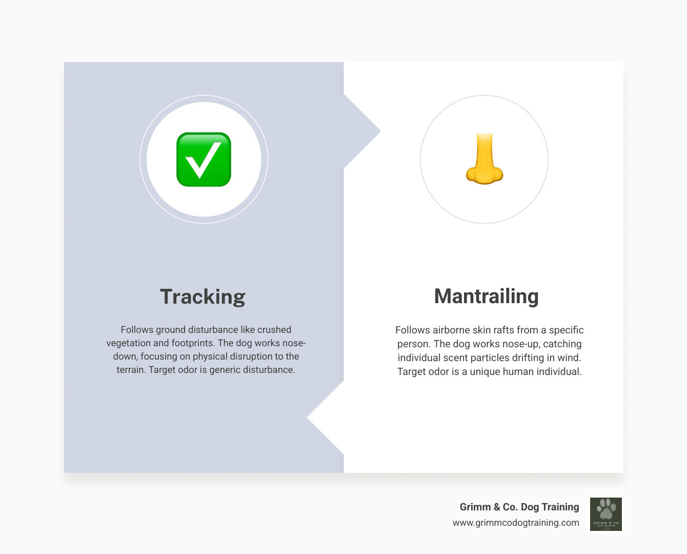 Infographic comparing mantrailing, tracking, and nosework: key differences in scent method, goal, equipment, and dog Infographic comparing mantrailing, tracking, and nosework: key differences in scent method, goal, equipment, and dog
