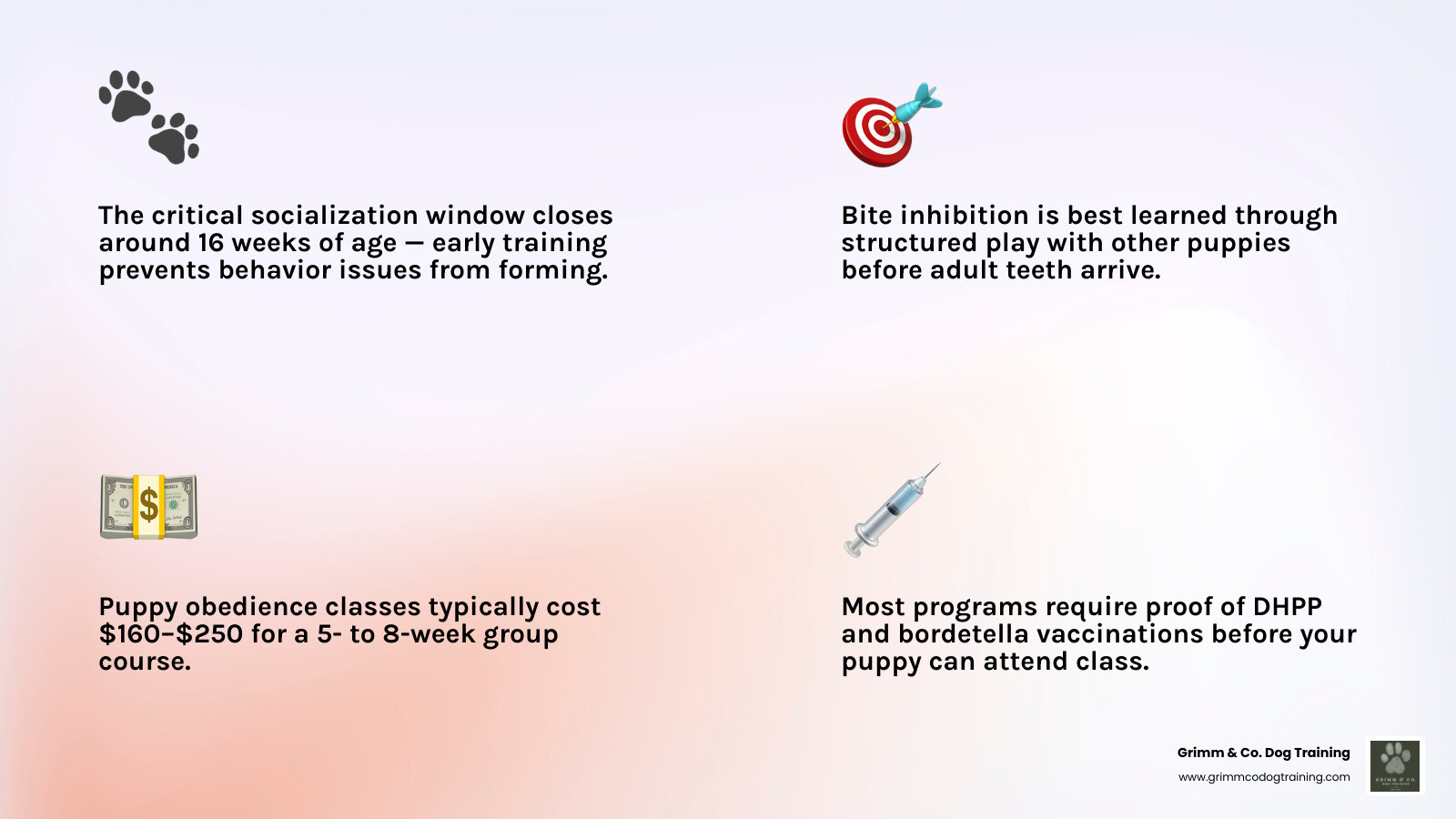 infographic showing puppy class key facts: age, cost, duration, vaccinations, and skills taught infographic infographic showing puppy class key facts: age, cost, duration, vaccinations, and skills taught infographic