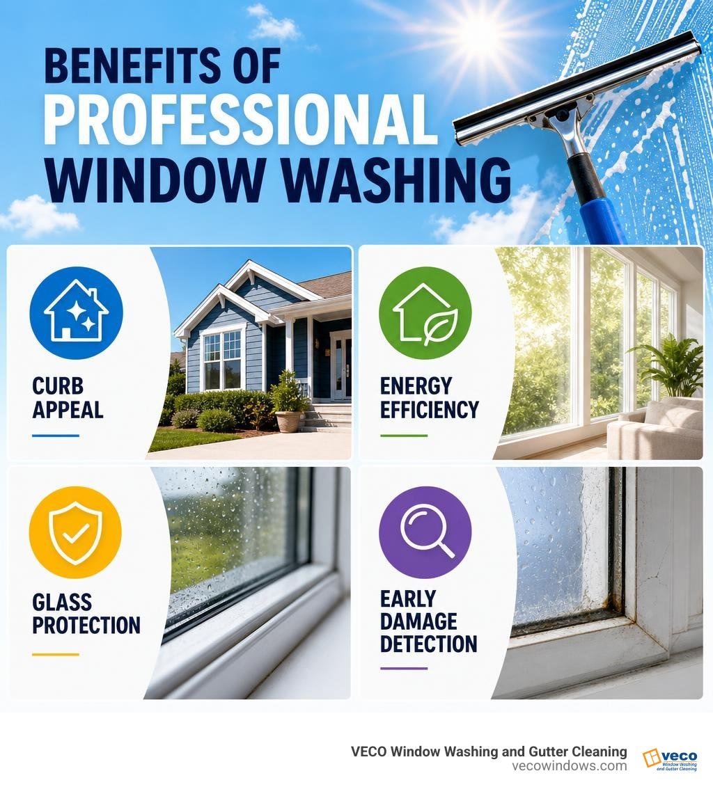 Benefits of professional window washing: curb appeal, energy efficiency, glass protection, early damage detection infographic