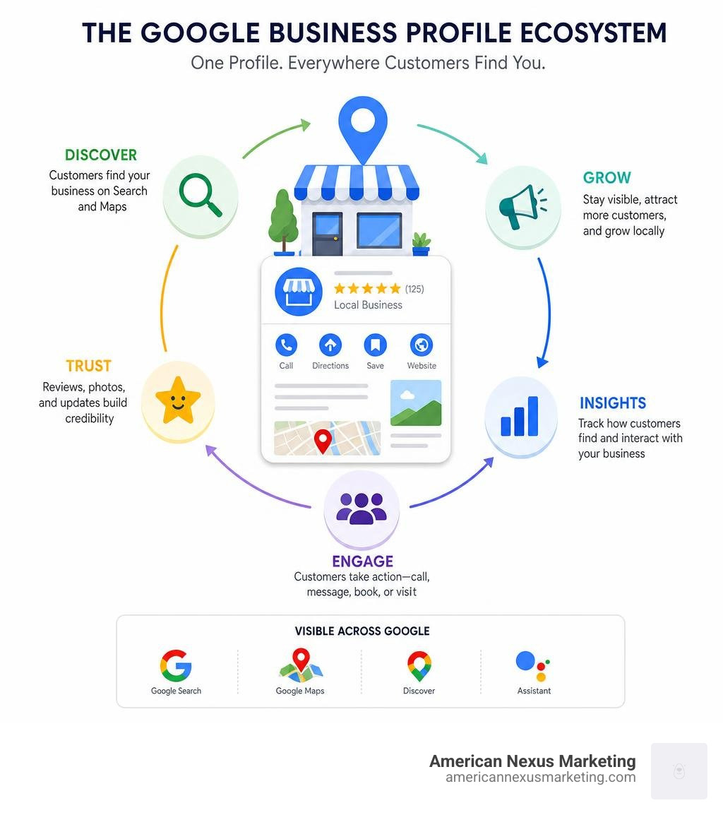 Overview of the Google Business Profile ecosystem for local businesses infographic