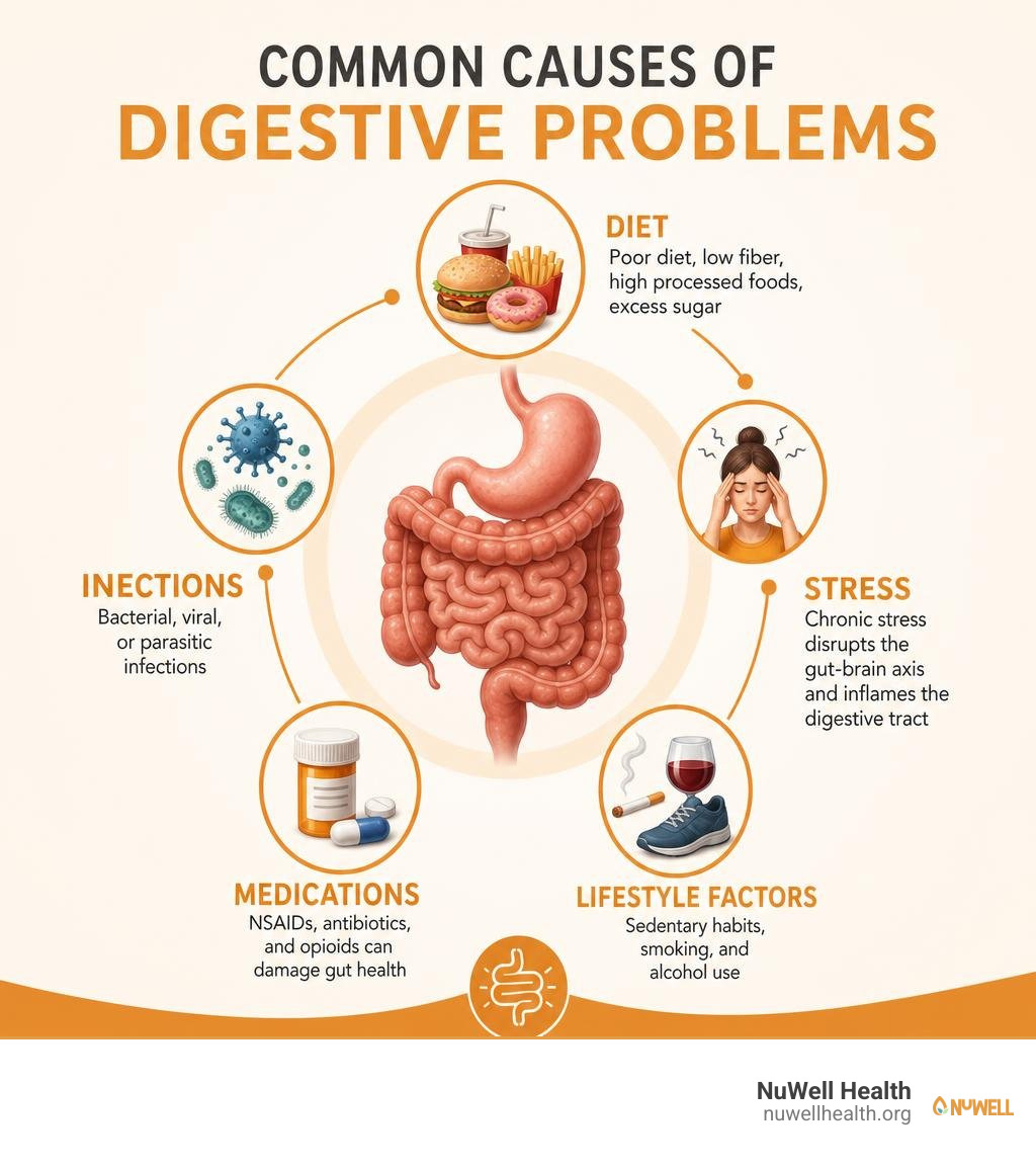 Common causes of digestive problems infographic with diet, stress, infections, medications, and lifestyle factors infographic Common causes of digestive problems infographic with diet, stress, infections, medications, and lifestyle factors infographic