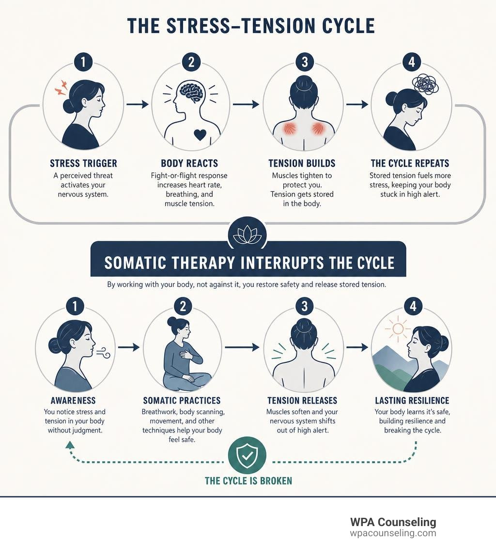infographic showing the stress-tension cycle and how somatic therapy interrupts it infographic