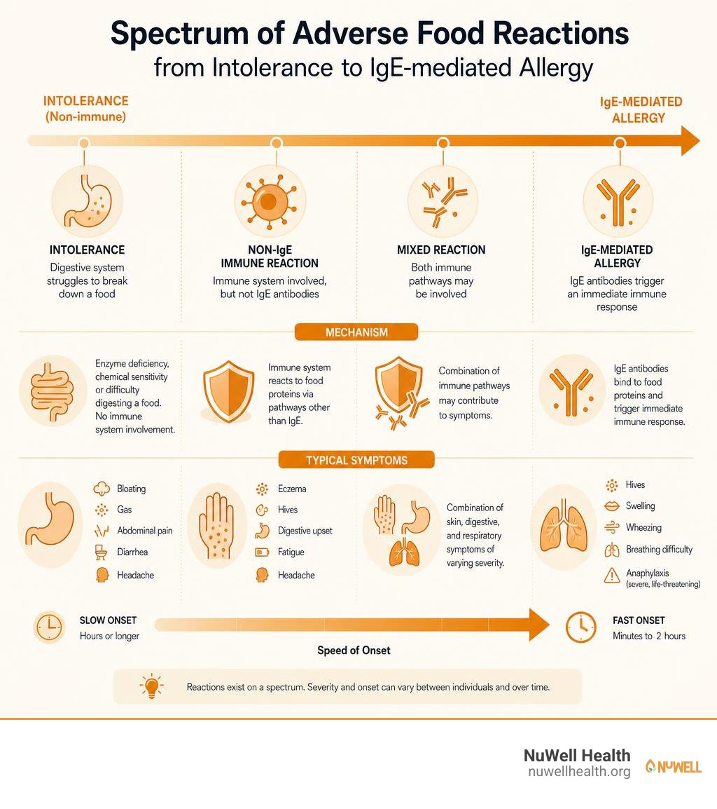 Spectrum of adverse food reactions from intolerance to IgE-mediated allergy with symptoms and mechanisms infographic Spectrum of adverse food reactions from intolerance to IgE-mediated allergy with symptoms and mechanisms infographic