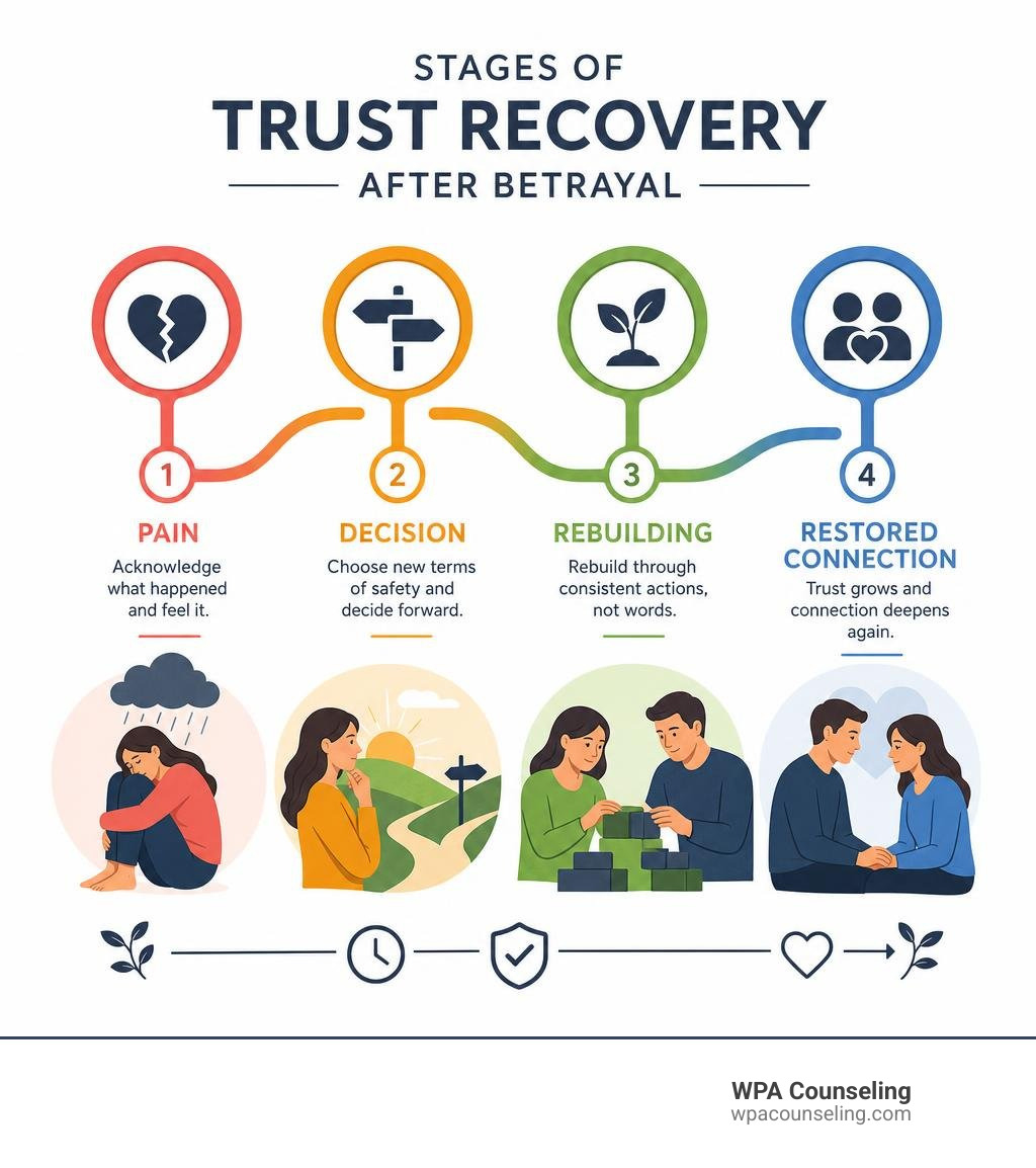 Stages of trust recovery after betrayal: pain, decision, rebuilding, and restored connection infographic Stages of trust recovery after betrayal: pain, decision, rebuilding, and restored connection infographic