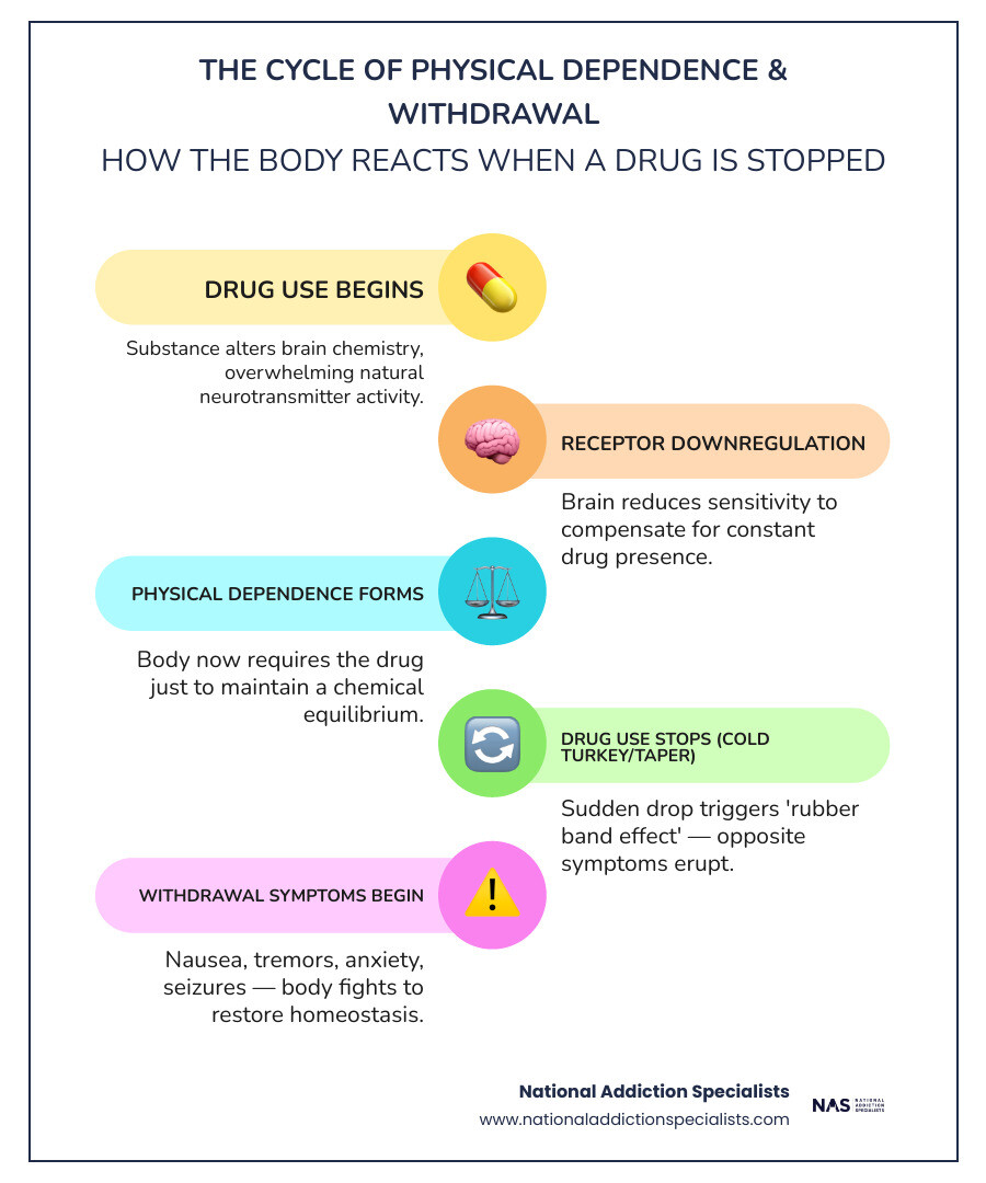 Infographic showing the cycle of physical dependence, withdrawal symptoms, and the detox process infographic