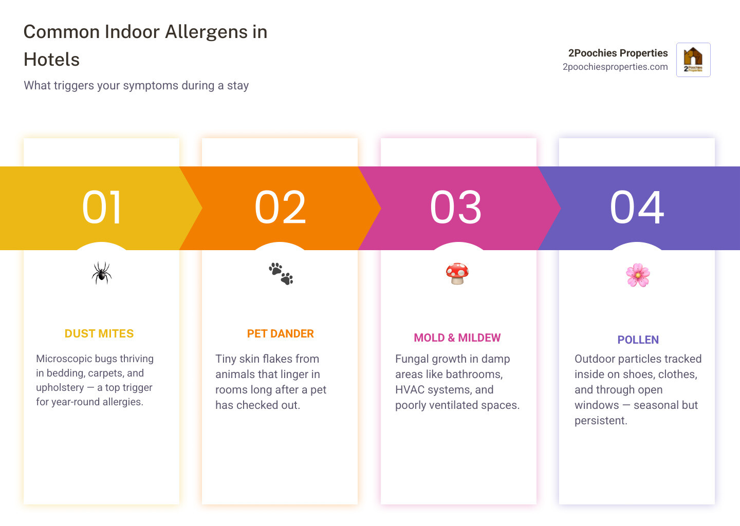 Common indoor allergens found in hotel rooms and vacation rentals infographic infographic