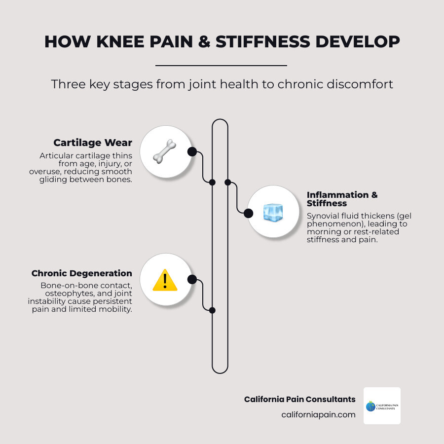 Infographic showing common causes of knee pain and joint stiffness with anatomy overview infographic Infographic showing common causes of knee pain and joint stiffness with anatomy overview infographic