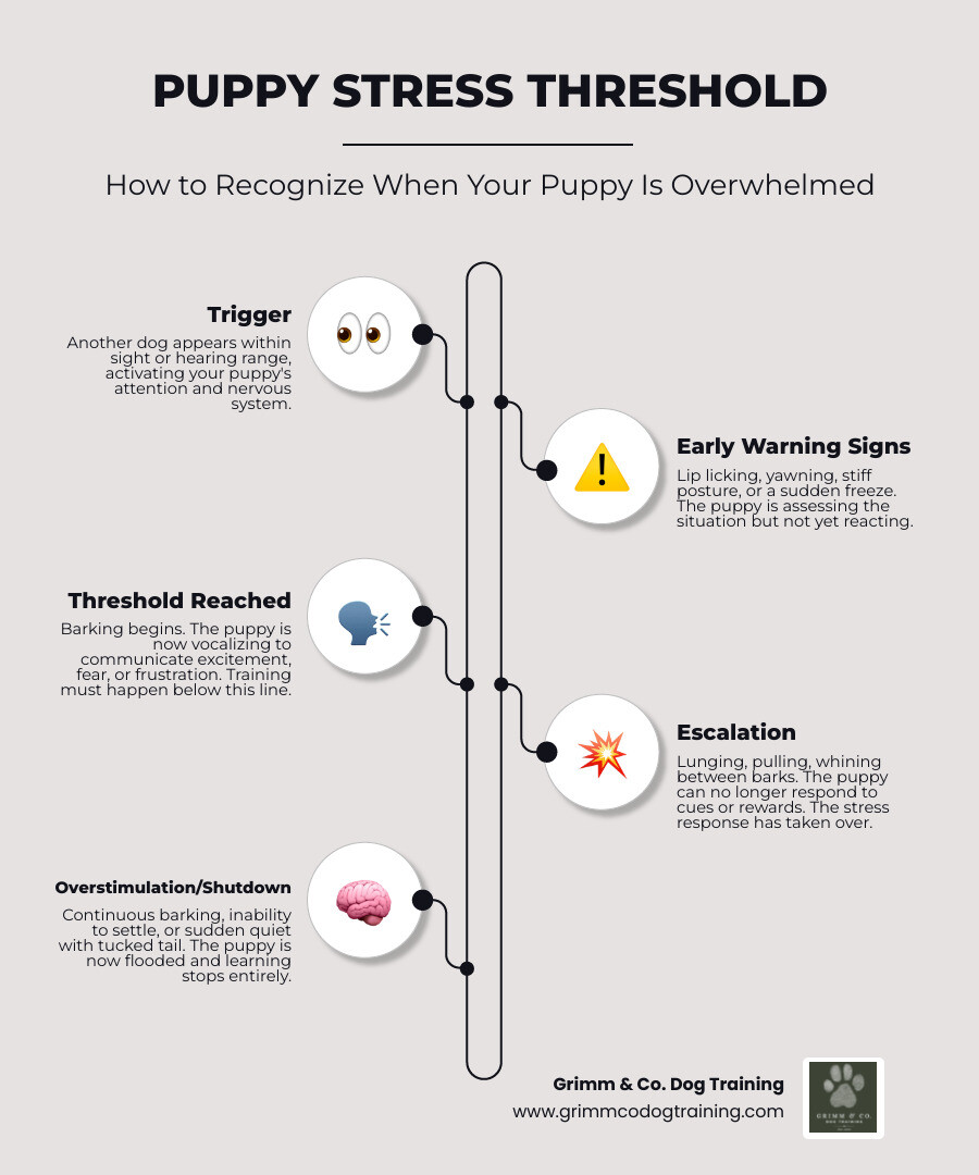 Puppy stress threshold infographic: triggers, threshold signs, and calm behavior indicators infographic Puppy stress threshold infographic: triggers, threshold signs, and calm behavior indicators infographic