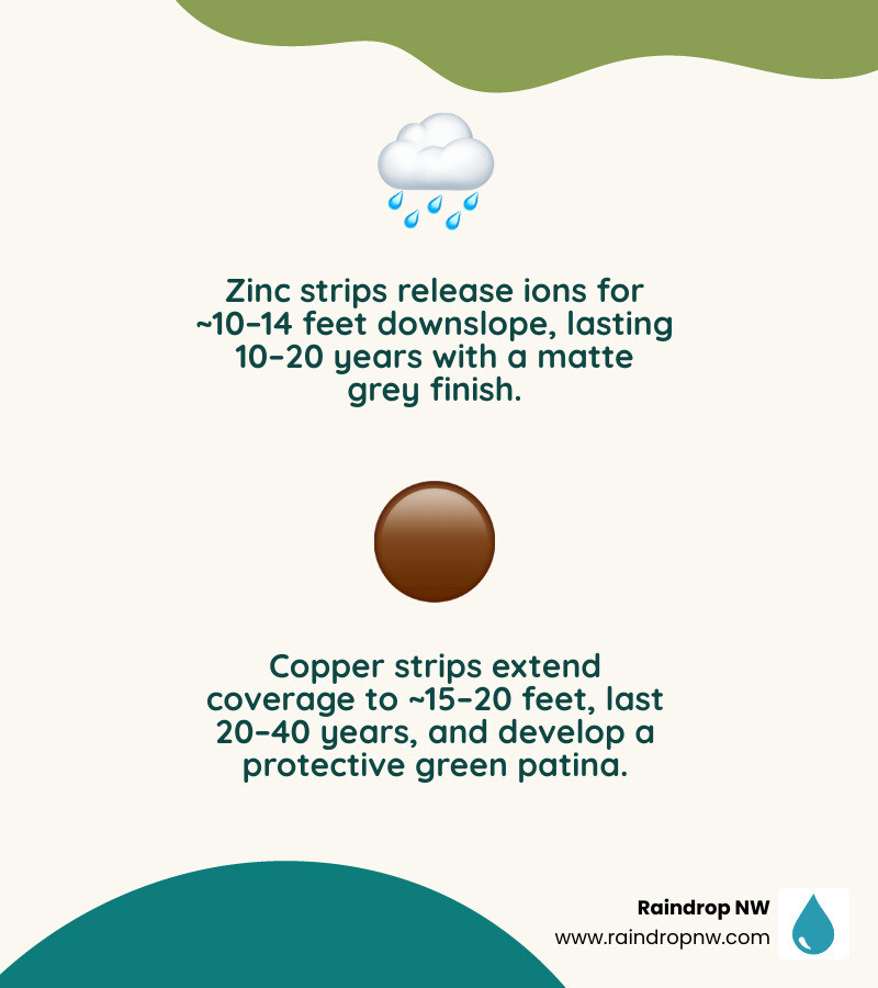 zinc vs copper roof strips comparison infographic showing coverage, lifespan, and best use cases infographic
