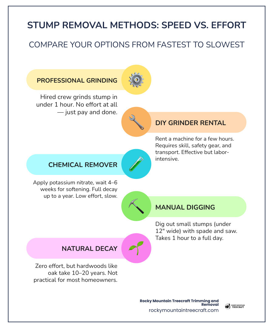 pros and cons of stump removal methods compared: grinding, chemical, manual, natural decay infographic