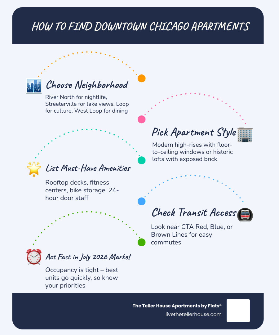 guide to downtown chicago apartments neighborhood layout infographic guide to downtown chicago apartments neighborhood layout infographic
