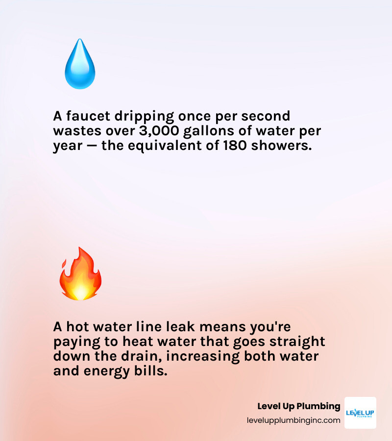 infographic showing water waste statistics and 5 steps to fix a leaky faucet infographic