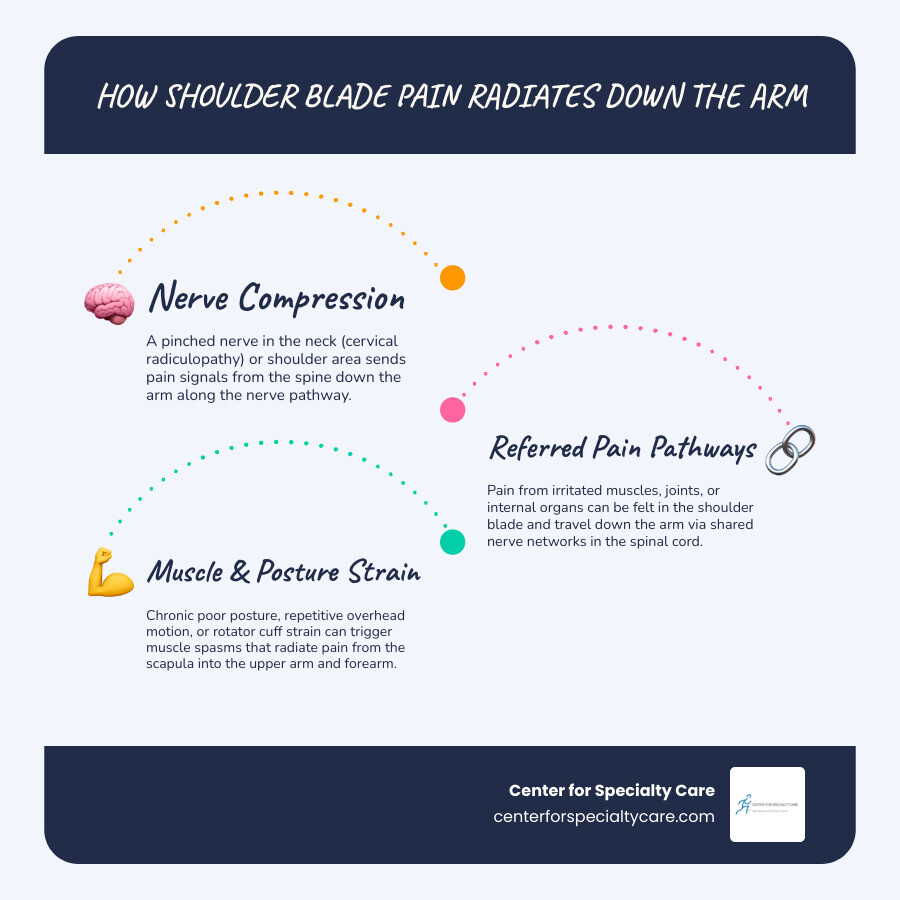 infographic showing nerve pathways causing shoulder blade pain to radiate down the arm infographic