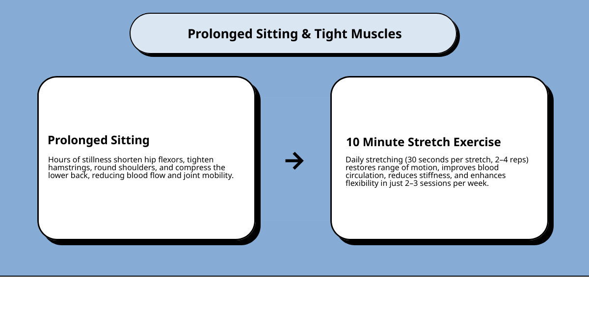 Benefits of a 10-minute stretch routine: muscle groups, hold times, frequency, and effects of prolonged sitting infographic